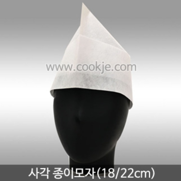 거북이종이접기-모자 (나와가족) (paper art/Origami Hat)